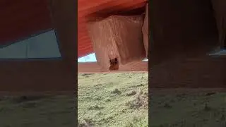 J&aacute; capturamos a primeira abelha da temporada. #mel #resgate #vidanaro&ccedil;a #sitio #natureza #agro