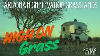 High on Grass - High elevation Grasslands in Arizona