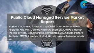 Public Cloud Managed Service Market Report 2024 1