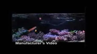 Ocean Nutrition Formula One RDF Frozen Fish Food | DrsFosterSmith.com