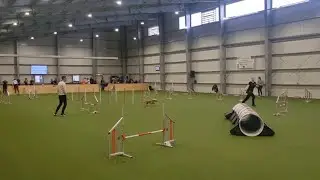Agility German Classics 2022 - Merit J&auml;hne & Eep