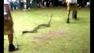 Davao Crocodile Park show