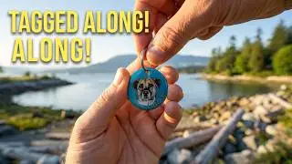 Dog 'tags' along : from Japan to Vancouver Canada🐾🍁🐾 #doglife