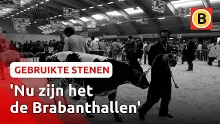 Terug in de tijd: de Veemarkthallen in Den Bosch | Gebruikte stenen