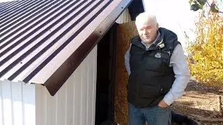 Построили теплый утятник. Утки счастливы!