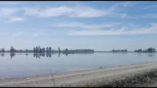 Siembra de Arroz en Isla Mayor