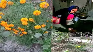 ঘর যেমন হোক সেটা পরিষ্কার পরিচ্ছন্ন রাখাটাই হোলো সুস্বাস্থ্যের প্রাথমিক চিকিৎসা।