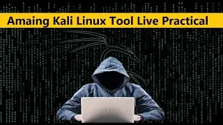 Kali Linux Tool BED Tutorial in Hindi