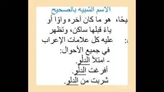 ظهور الإعراب في الأسماء/ أولى إعدادي أزهر/ الفصل الأول