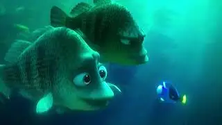 Finding Dory- Dory Loses Her Family