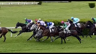 【PAU】FRENCH HORSE RACE ANALYSIS - CHECK OUT ONE OF THE BEST ☆☆☆ TOO!!