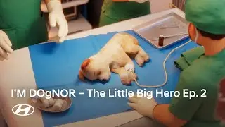 I&rsquo;M DOgNOR | The Little Big Hero Ep. 2