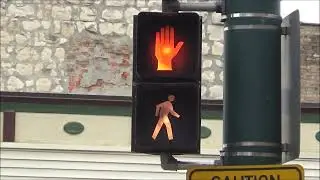 Durasig Pedestrian Signal