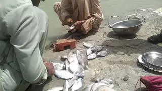hunting fish 🐠 kund malir Balochistan
