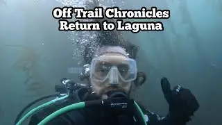 Returning to SoCal & Diving Crescent Bay Laguna Beach | Scuba Diving vLog Nov 19th 2021