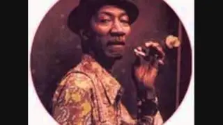 HOUND DOG TAYLOR -  GIVE ME BACK MY WIG