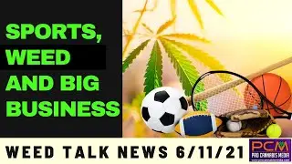 Sports, Weed and Big Business: Paul Pierce Brings His Weed Brand to MA on Weed Talk News