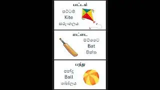 Let's learn some objects in tamil and sinhala 😍 | #tamil #tamilshorts #தமிழ்