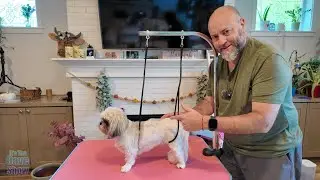 Grooming your dogs at home with this dog grooming table
