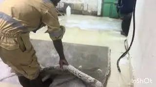 Heavily soiled carpet washing