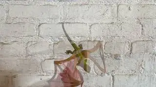 Simple Upcycled Toy Automata