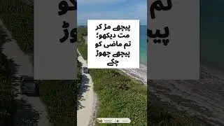 Sunehre Alfaz - سنہرے الفاظ || Urdu Quote || Urdu Golden Words || #shorts  #sunehrealfaz