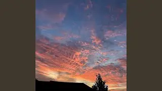 RENEWAL..