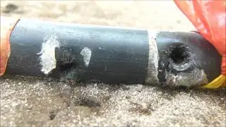The eradication program of big-headed ant- Seychelles islands