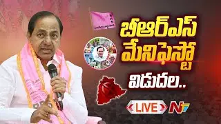 CM KCR  Live | BRS Manifesto Release | BRS Party | Ntv