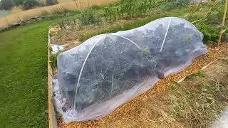 Rondje groentetuin deel 3 2022