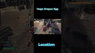 Location of Huge Dragon Egg in #palworldgame #tipsandtricks