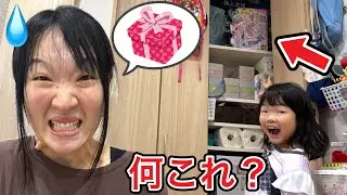 ここちゃんに隠してたプレゼントがバレました・・・・・・・😱💦【実話再現】
