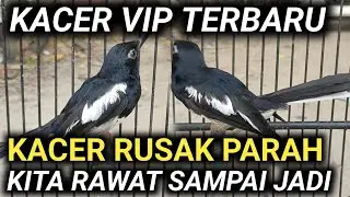 KACER RUSAK PARAH SETELAH GANTI VOER KONDISINYA BEGINI | D.R.KACER TERBARU