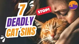 THE 7 DEADLY CAT SINS (Commit them and go to...!!!) 🙀🙀