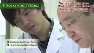 Five undergraduate programs