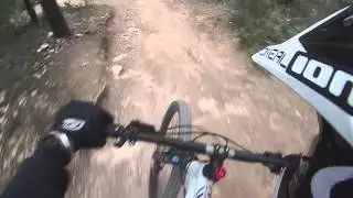 cesane   sorci freeride
