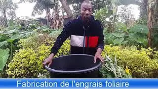 Fabrication d'engrais foliaire &agrave; base des feuilles
