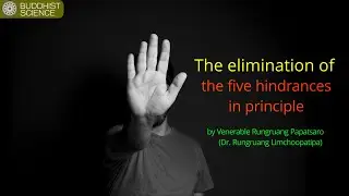 The elimination of the 5 hindrances in principle