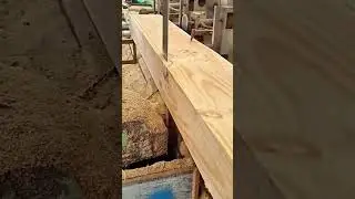 Bandsaw machine cutting wooden plank into smooth sections