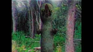Scp 173 real found footage
