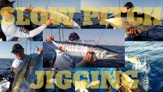 PESCA DE PELAGICOS CON SOLO JIG, USANDO LA TECNICA DE SLOW JIGGING !