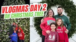 Освещение авеню | Зимняя ферма деревьев | Покупки в клубе Sams | Vlogmas, день второй