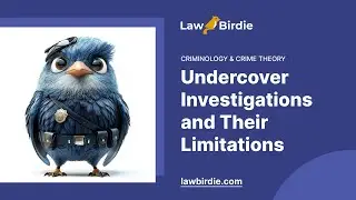 Undercover Investigations and Their Limitations - Essay Example