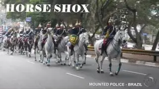 HORSE SHOX&reg; - Rubber Horseshoes