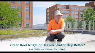 Green Roof Irrigation: Is Overhead or Drip Better?