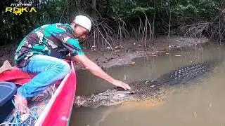 The Most Dangerous Animal Encounters of 2022 / Animal Attacks on Humans 2022