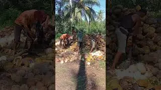 #microfarming#farming #followers