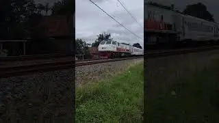 CC 2030106 dinas KA Kertanegara (167) relasi Malang-Purwokerto #kai121 #railfans #huntingkereta