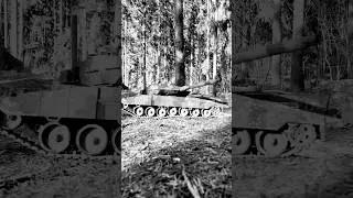 Realistic view of a RC tank #leopardtank #rctank #realistic #fire #bullets