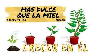 LA PALABRA DE DIOS ES MAS DULCE QUE LA MIEL